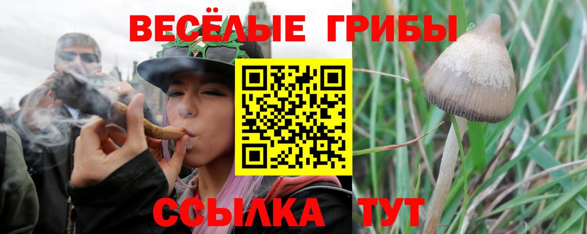 Alpha PVP Сорочинск